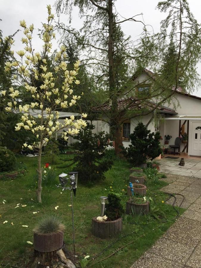 Kleines Haus Im Oderbruch Apartment Neutrebbin Exterior photo